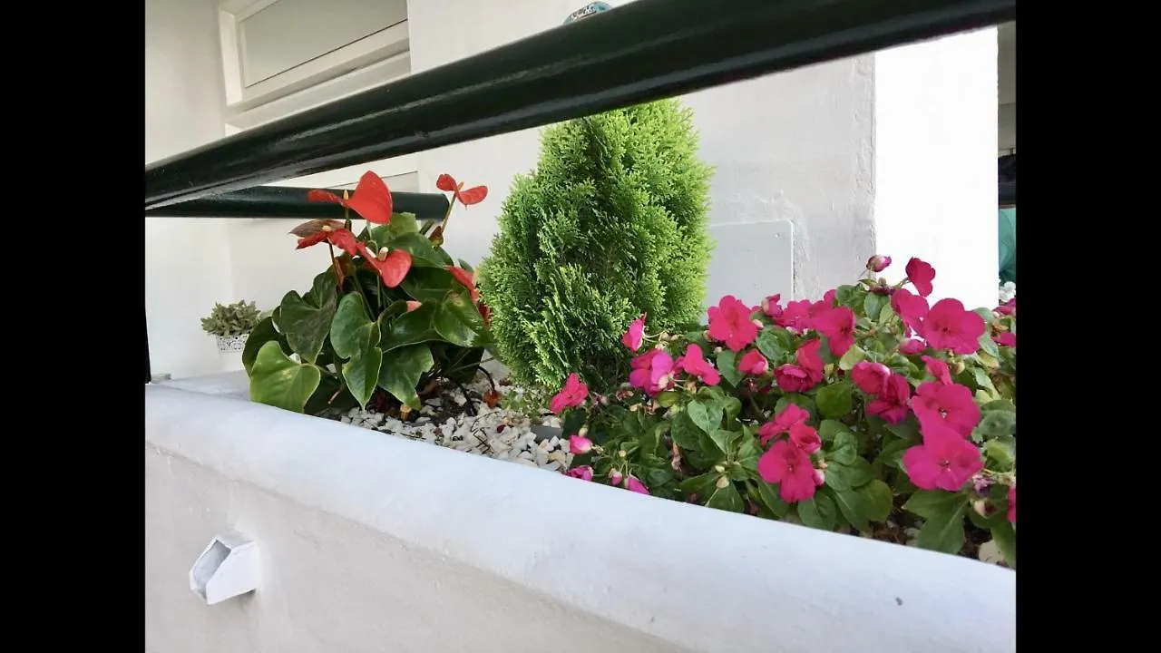 Mi Capricho 2F Beachfront- Apartment With Sea View - Costa Del Sol Sitio de Calahonda Spain